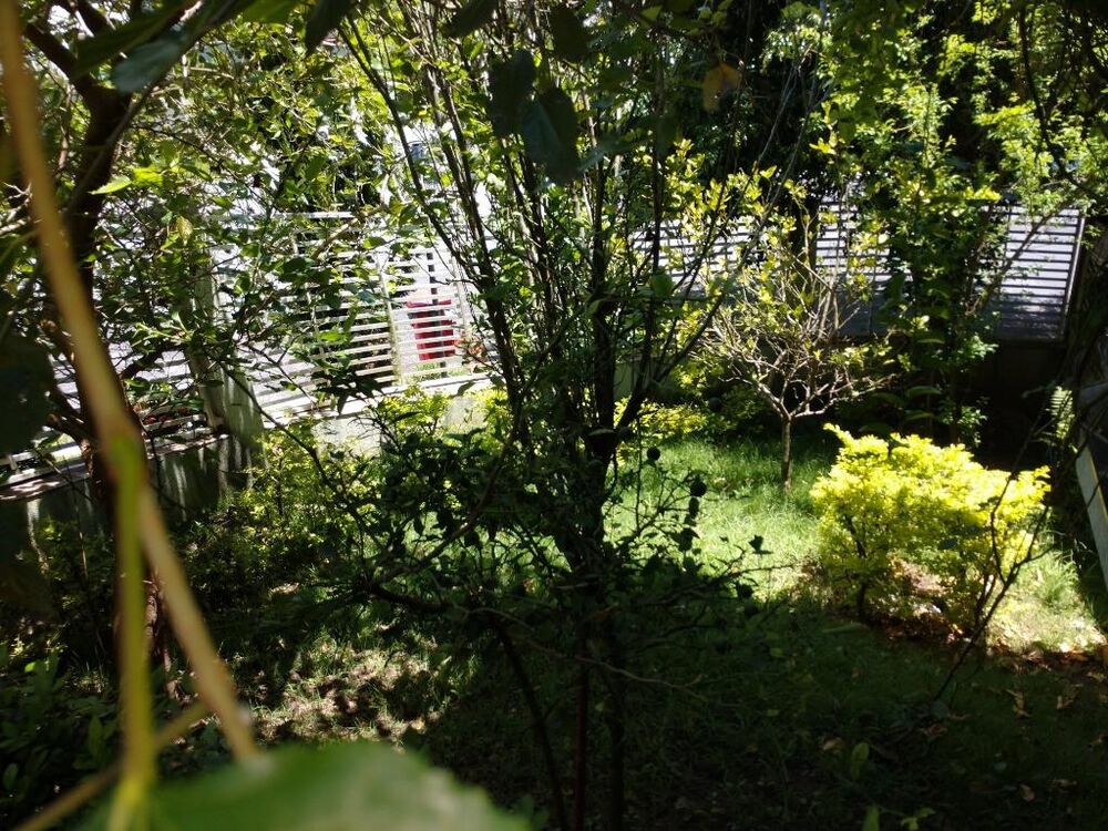 Casa, 4 quartos, 387 m² - Foto 4