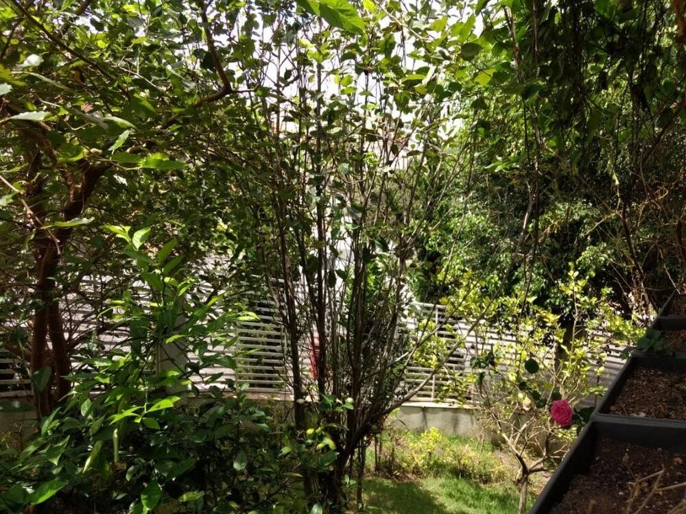 Casa, 4 quartos, 387 m² - Foto 24