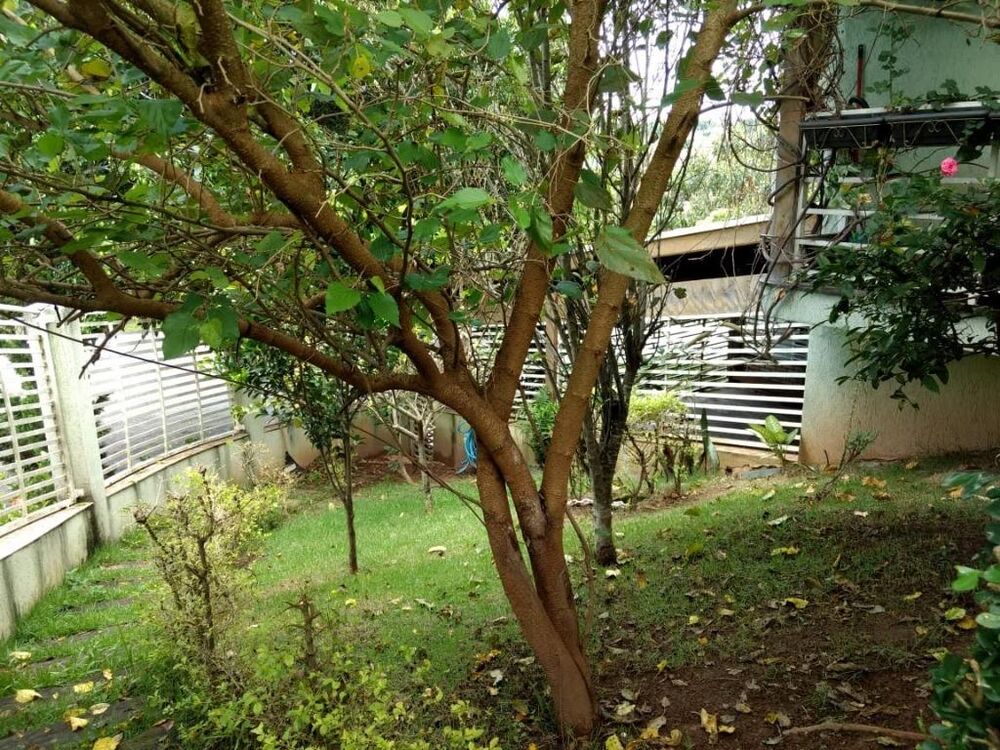 Casa, 4 quartos, 387 m² - Foto 25