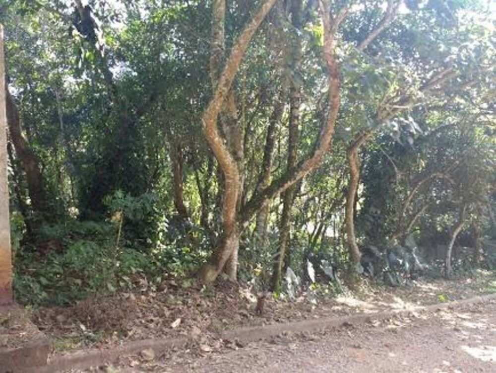 Loteamento e Condomínio à venda, 300m² - Foto 2