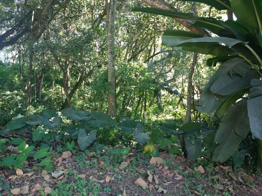 Loteamento e Condomínio à venda, 300m² - Foto 1