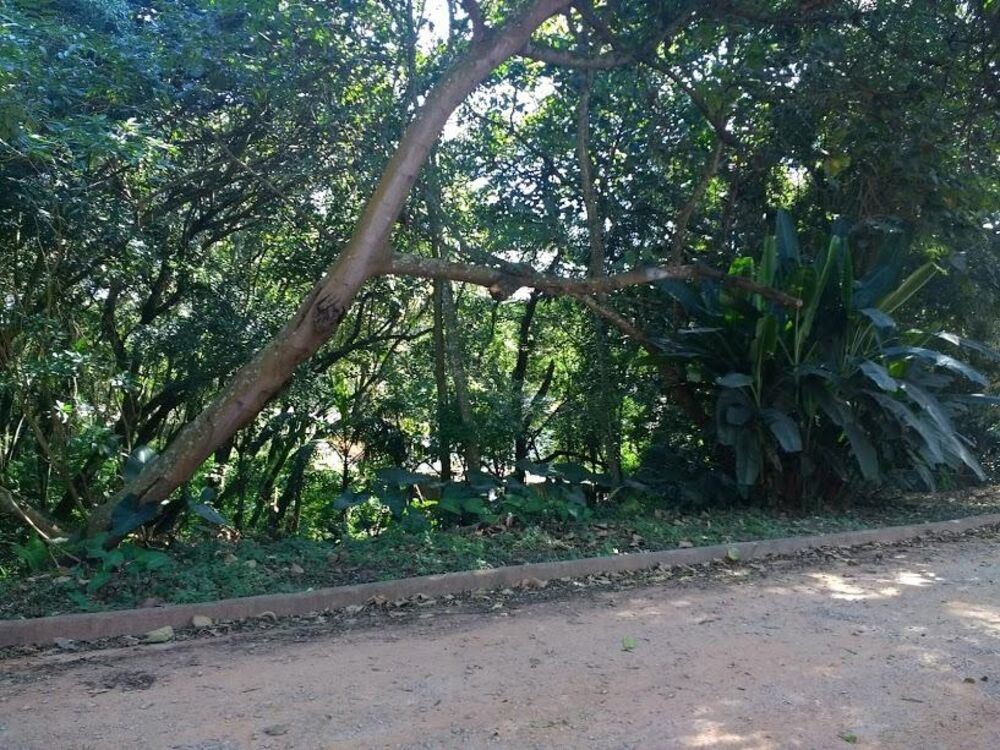 Loteamento e Condomínio à venda, 300m² - Foto 4