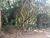 Loteamento e Condomínio, 300 m² - Foto 2
