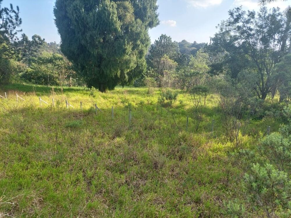Terreno à venda, 6000m² - Foto 2