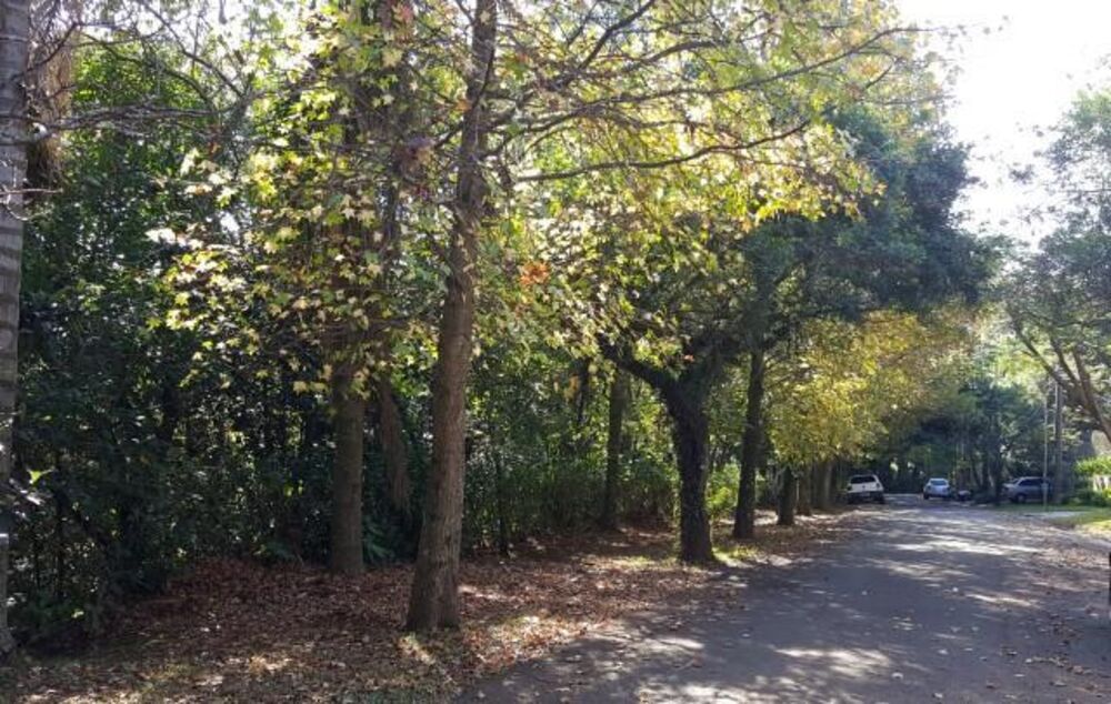 Loteamento e Condomínio, 2845 m² - Foto 2