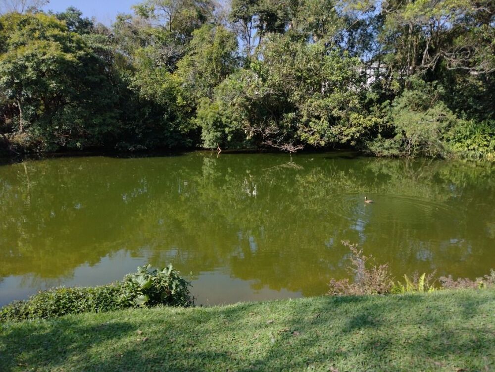 Loteamento e Condomínio à venda, 512m² - Foto 6