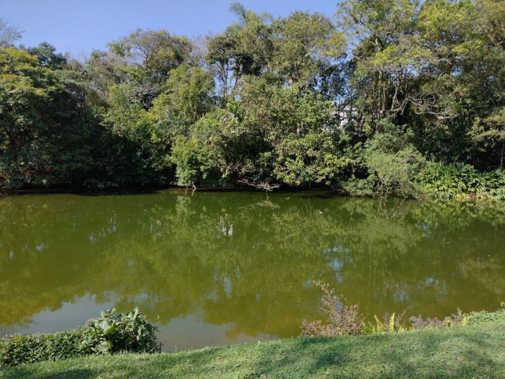 Loteamento e Condomínio à venda, 512m² - Foto 7