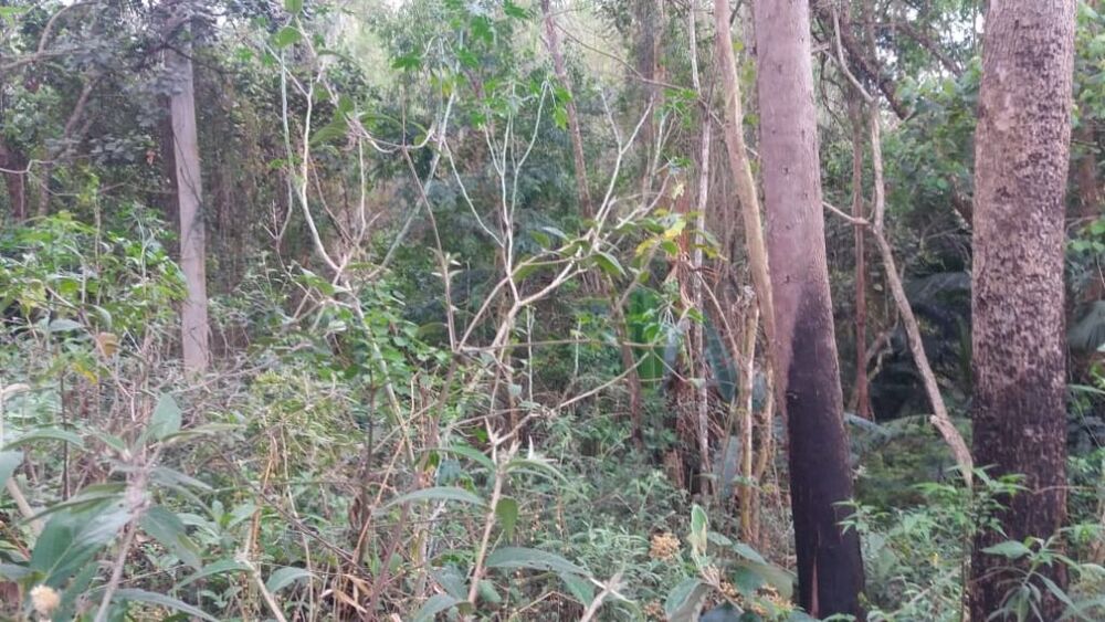 Loteamento e Condomínio à venda, 5001m² - Foto 2