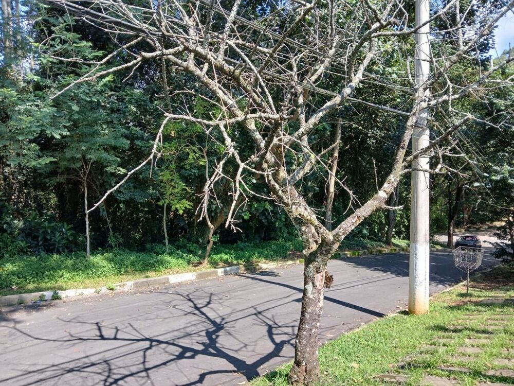 Loteamento e Condomínio, 1500 m² - Foto 4