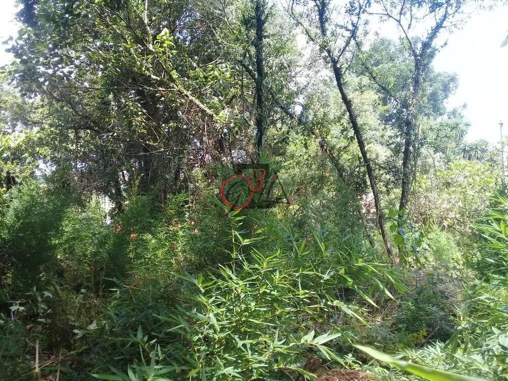 Loteamento e Condomínio, 800 m² - Foto 3