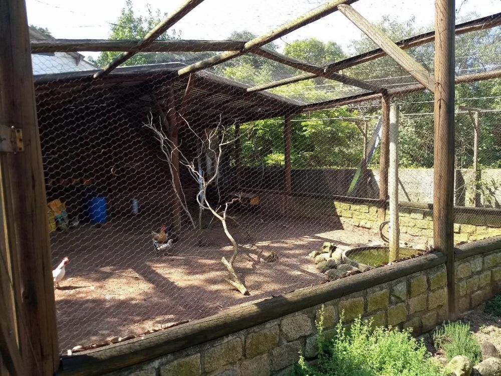 Casa de Condomínio, 5 quartos - Foto 7