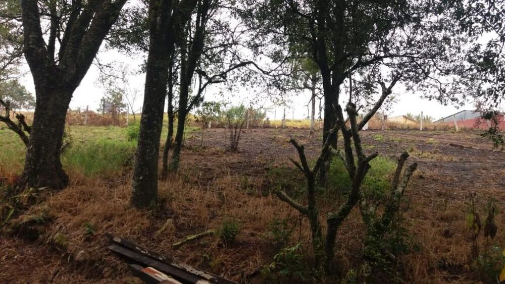 Terreno à venda, 1890m² - Foto 3