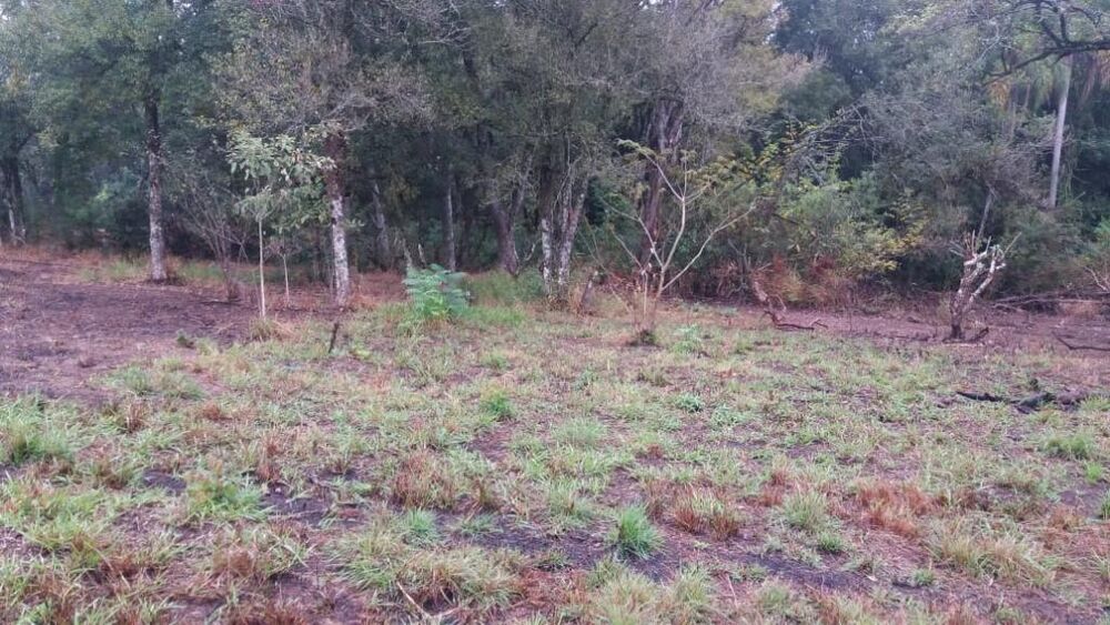 Terreno à venda, 1890m² - Foto 2