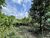 Terreno, 907 m² - Foto 1