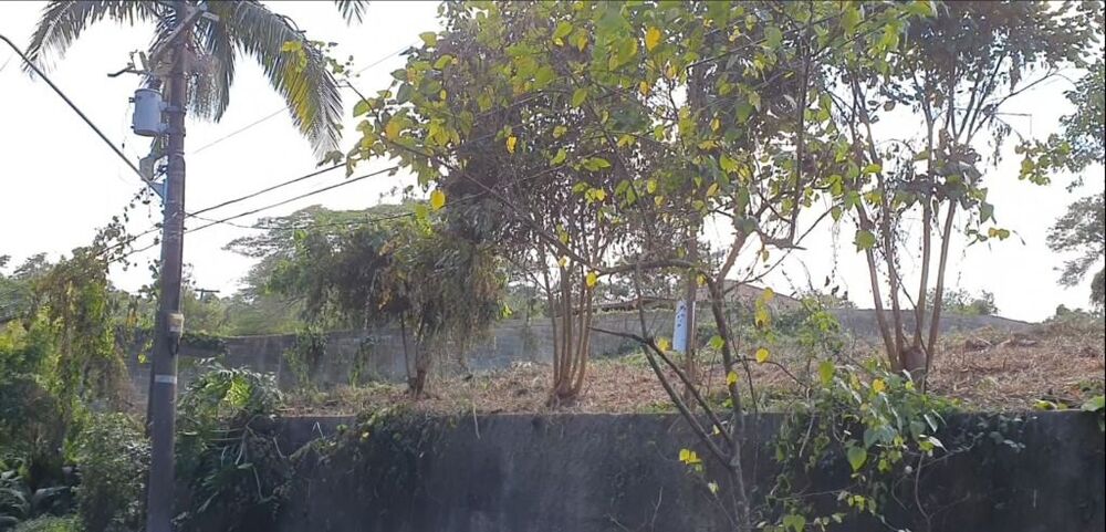 Loteamento e Condomínio, 3203 m² - Foto 8