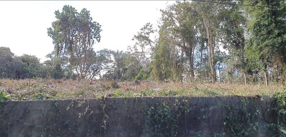 Loteamento e Condomínio, 3203 m² - Foto 6