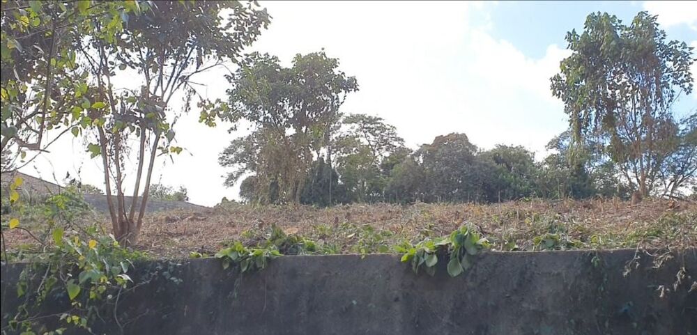 Loteamento e Condomínio, 3203 m² - Foto 5