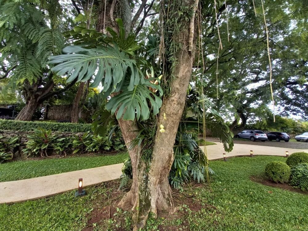 Loft, 35 m² - Foto 8