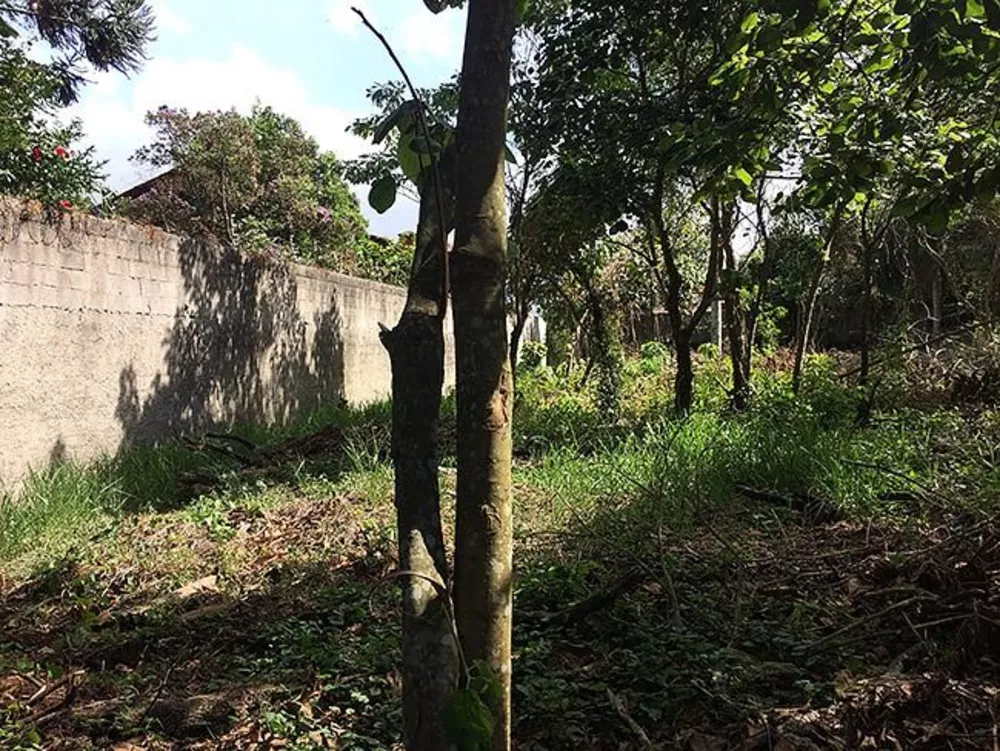 Loteamento e Condomínio à venda, 1000m² - Foto 8