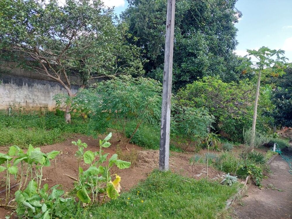 Casa, 3 quartos, 350 m² - Foto 26