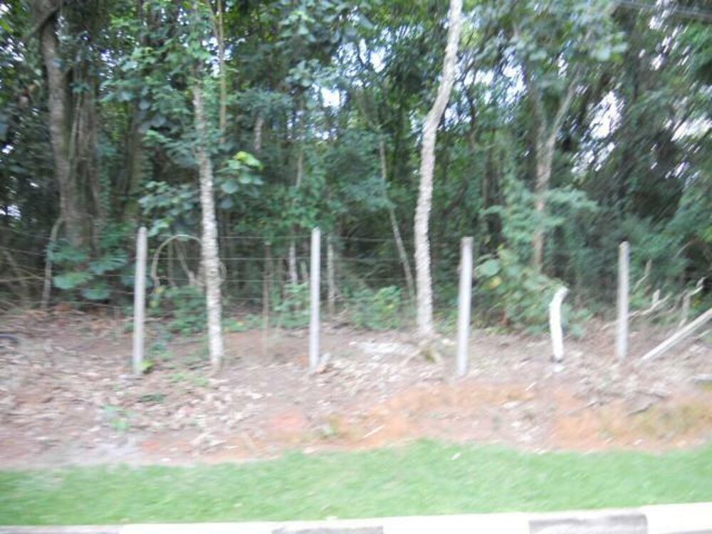 Terreno, 4400 m² - Foto 2