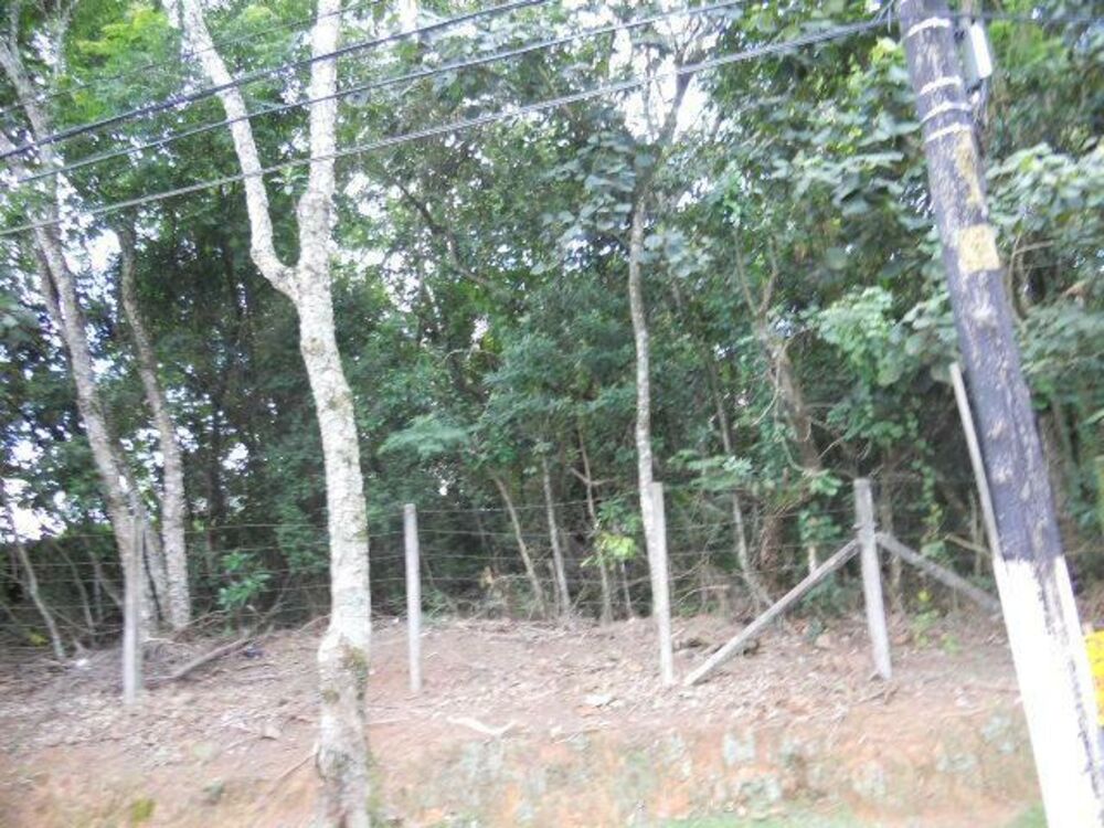 Terreno, 4400 m² - Foto 4