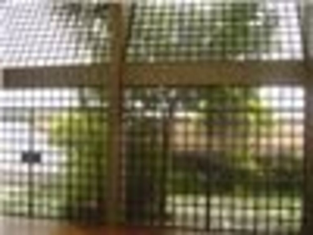 Casa, 4 quartos, 390 m² - Foto 8