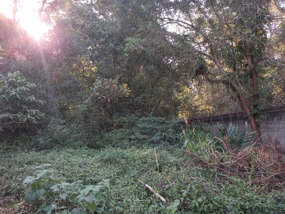 Loteamento e Condomínio à venda, 1129m² - Foto 3