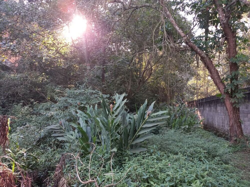 Loteamento e Condomínio à venda, 1129m² - Foto 4