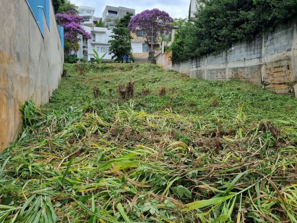 Loteamento e Condomínio à venda, 500m² - Foto 6