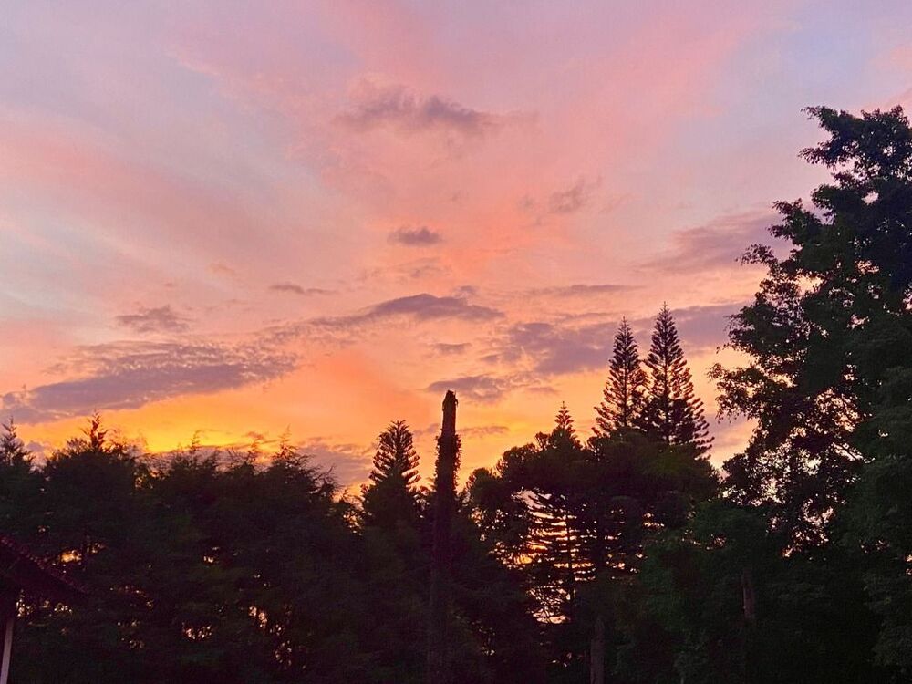 Casa, 5 quartos, 800 m² - Foto 16