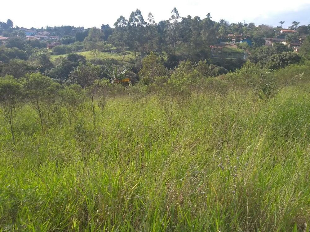 Loteamento e Condomínio à venda, 2000m² - Foto 1