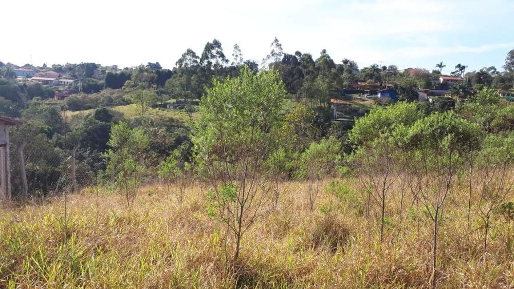 Loteamento e Condomínio à venda, 2000m² - Foto 4