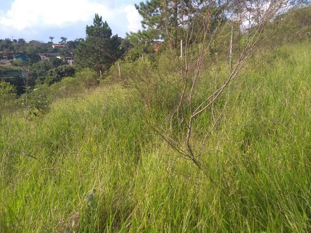 Loteamento e Condomínio à venda, 2000m² - Foto 6