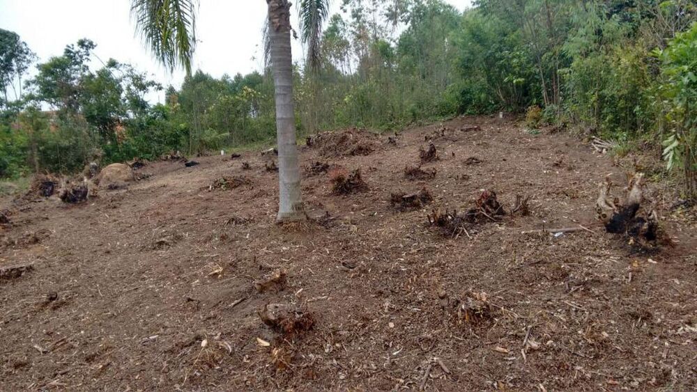 Loteamento e Condomínio, 564 m² - Foto 2