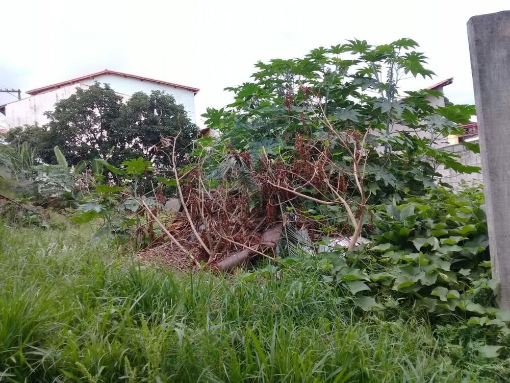 Terreno, 370 m² - Foto 2