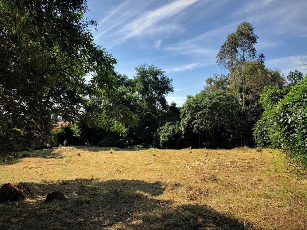 Loteamento e Condomínio, 2282 m² - Foto 5