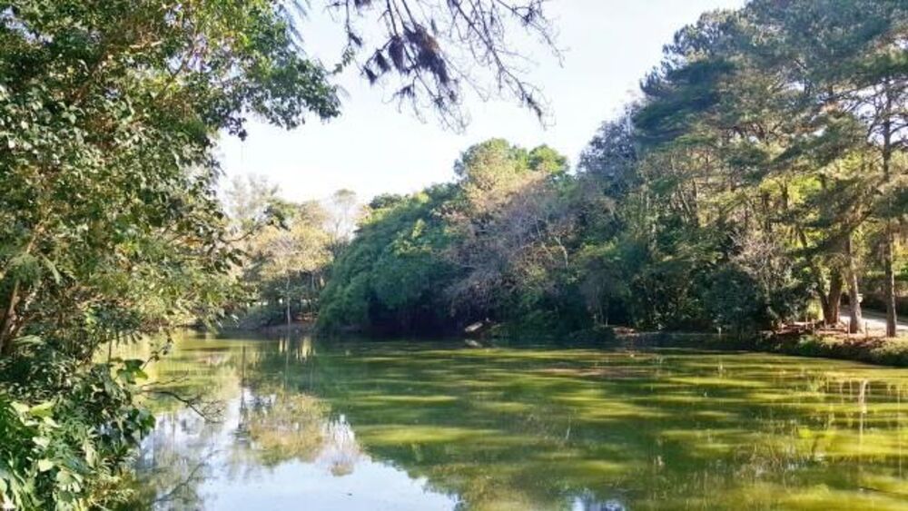 Loteamento e Condomínio, 2282 m² - Foto 3