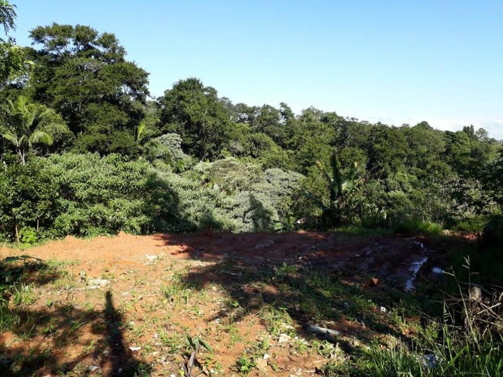 Loteamento e Condomínio à venda, 2555m² - Foto 4