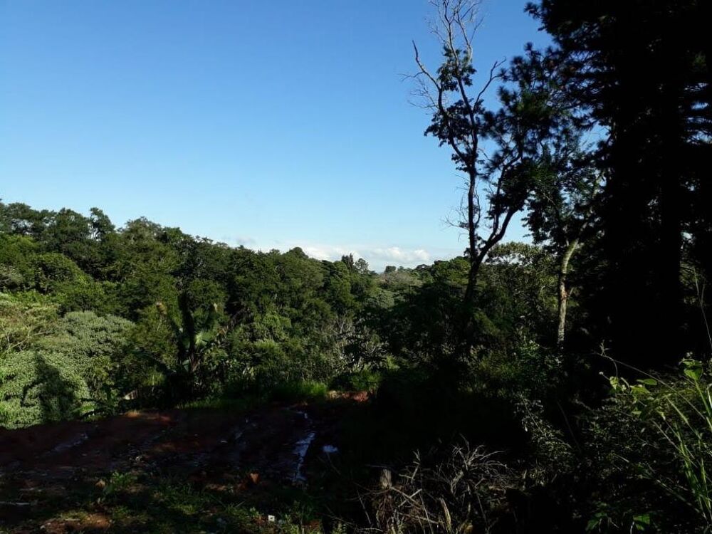 Loteamento e Condomínio à venda, 2555m² - Foto 5
