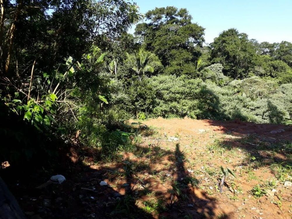 Loteamento e Condomínio à venda, 2555m² - Foto 3