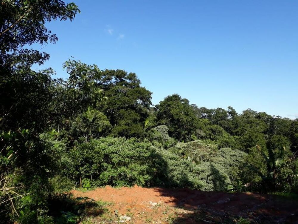 Loteamento e Condomínio à venda, 2555m² - Foto 2