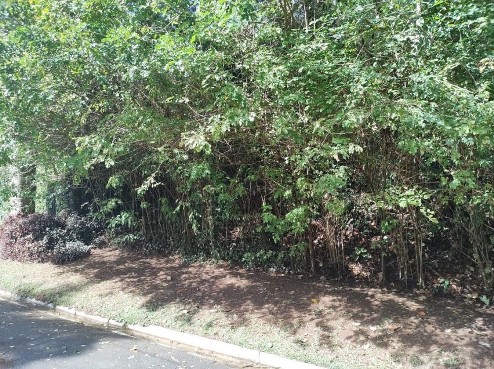 Loteamento e Condomínio, 372 m² - Foto 3