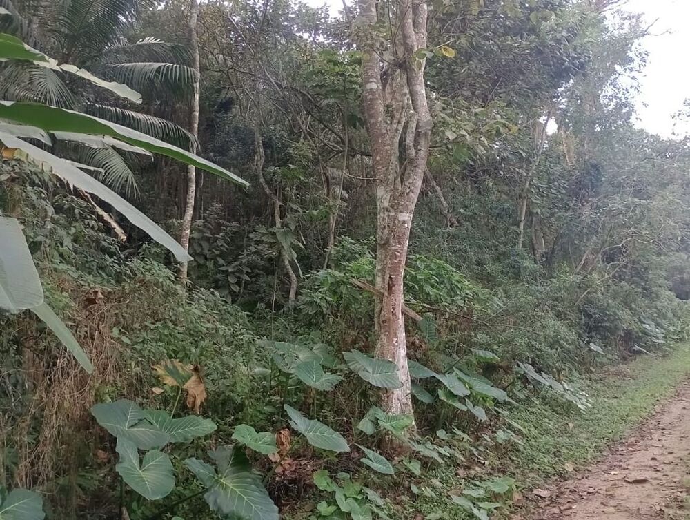 Loteamento e Condomínio, 1943 m² - Foto 5