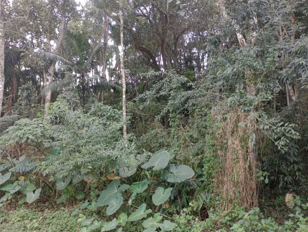Loteamento e Condomínio, 1943 m² - Foto 2