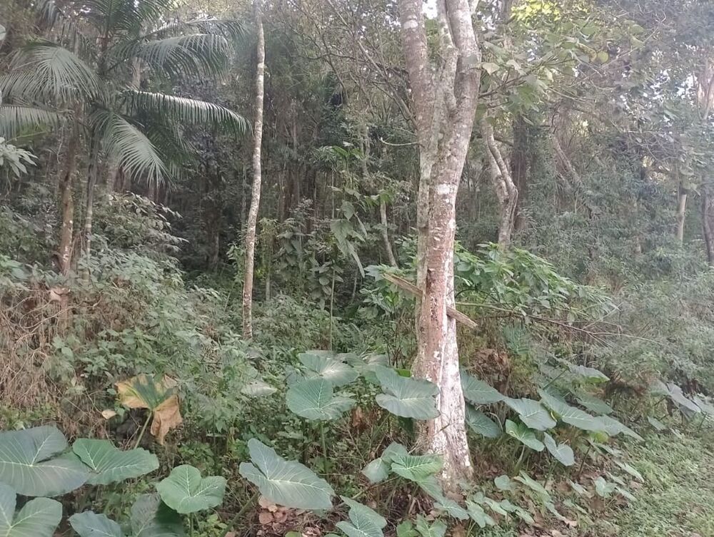 Loteamento e Condomínio, 1943 m² - Foto 3