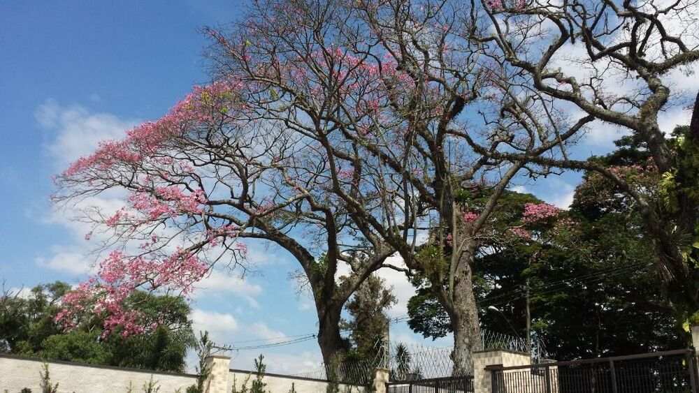 Loteamento e Condomínio, 502 m² - Foto 3