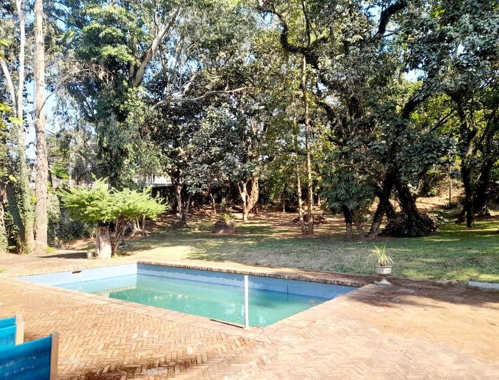 Casa, 4 quartos, 337 m² - Foto 14