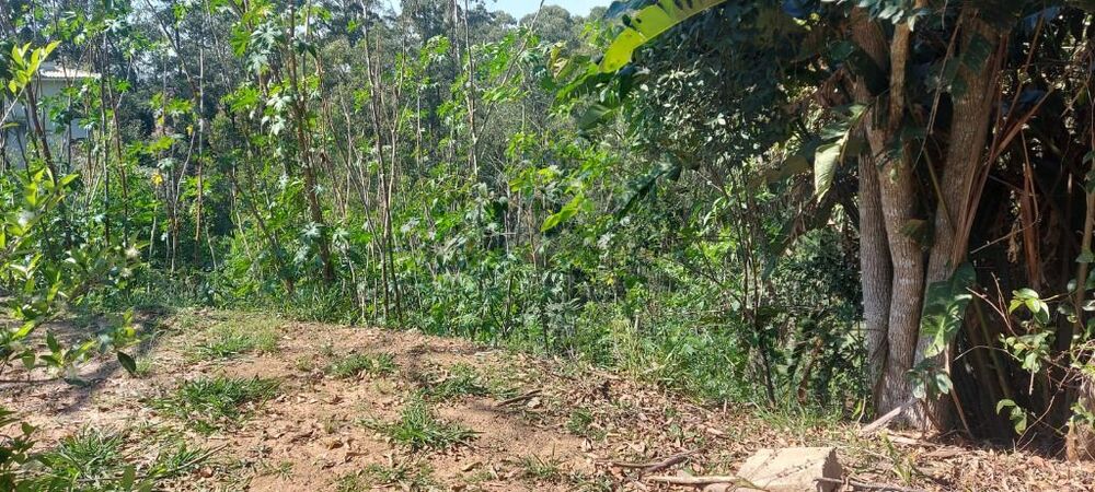 Loteamento e Condomínio, 1290 m² - Foto 1