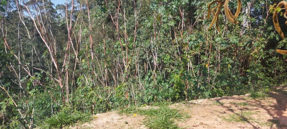 Loteamento e Condomínio, 1290 m² - Foto 2